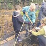 planting